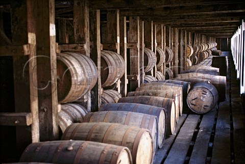 Barrel house in the Bourbon distillery   of Wild Turkey Kentucky USA