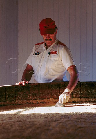 Checking the sour mash in the Bourbon   distillery of Makers Mark Kentucky USA