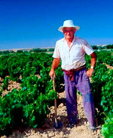 Vineyard worker at St Martin de Unx   Navarra Spain    Navarra