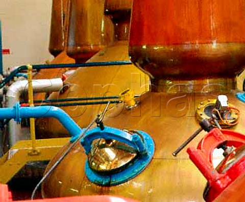 Copper pot stills of the Glenlivet whisky   distillery Ballindalloch Banffshire Scotland