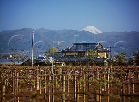 Private house near Vineyard at Suntorys Tominooka winery with Mt Fuji in the distance Yamanashi Prefecture Japan