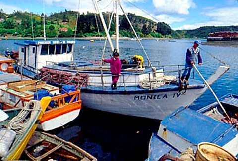 Fishing port of Angelmo near Puerto Montt Chile