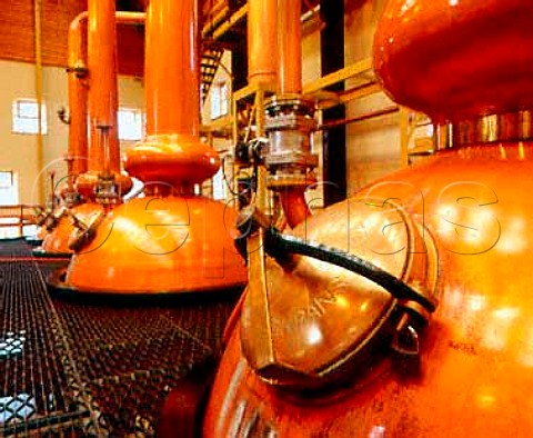 518m swannecked stills  the tallest in Scotland   Glenmorangie whisky distillery   Tain Rossshire Scotland     Highland