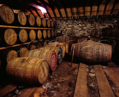 Tasting whisky which is maturing in old Bourbon casks in a warehouse of Glenmorangie distillery Tain Rossshire Scotland Highland