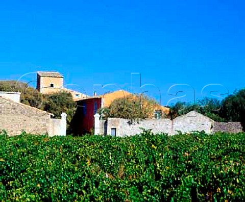 View over vineyard to Prieur de StJean de Bbian   Pzenas Hrault France     Languedoc