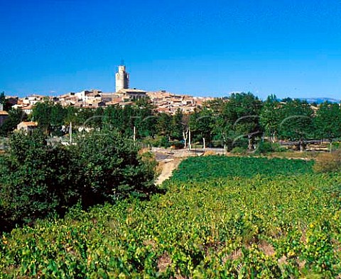 View over vineyard to the village of Caux  near Pzenas Hrault France   Languedoc