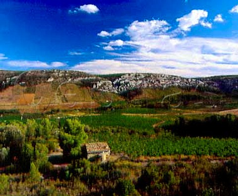 Vineyards in the Verdouble valley near Paziols   Aude France    Fitou  Corbires