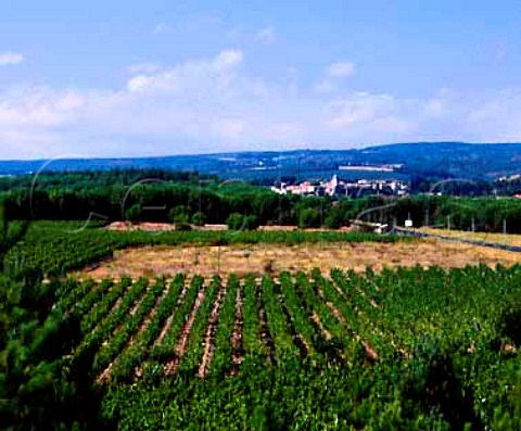 Vineyard of Chteau Bancalis with village of   Villardonnel in the distance Aude France   Cabards