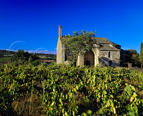 The 13thcentury Eglise de Centeilles in  vineyard at Siran Hrault France     Minervois