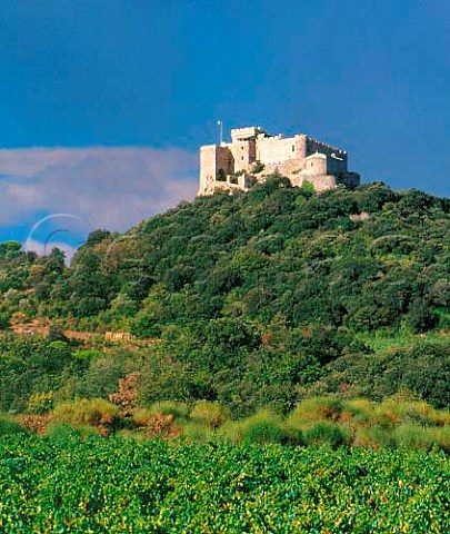 Hilltop castle above vineyards near   StMartindeToques Aude France   Corbires  Terroir de Fontfroide