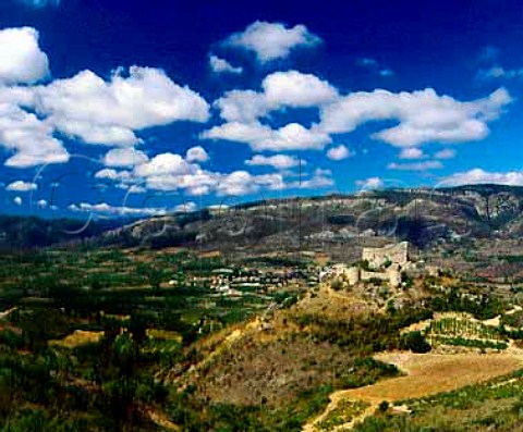 The Cathar Chteau dAguilar above the town of   Tuchan and its vineyards in the Verdouble valley   Aude France     Fitou  Corbires