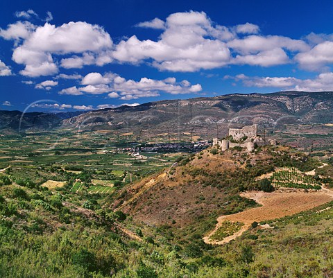 The Cathar Chteau dAguilar above the town of Tuchan and its vineyards in the Verdouble Valley Aude France      Fitou  Corbires