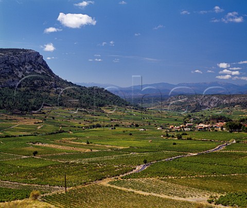 Vineyards around the village of Vingrau near  Tautavel PyrnesOrientales France       Ctes du RoussillonVillages  Rivesaltes