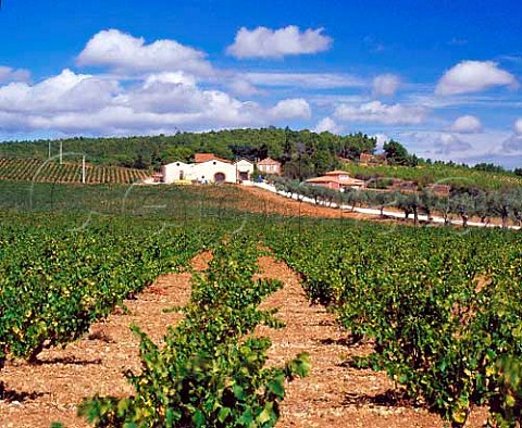 Domaine de Joliette Montpins PyrnesAtlantiques   France  Ctes du RoussillonVillages  Rivesaltes