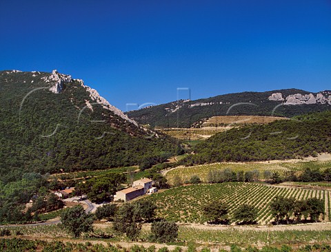 Vineyards around Domaine de Cassan high on the slopes of the Dentelles de Montmirail Lafare Vaucluse France   Gigondas  BeaumesdeVenise