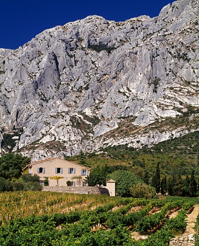 Domaine de SaintSer below Montagne SteVictoire Puyloubier BouchesduRhne France  Ctes de Provence