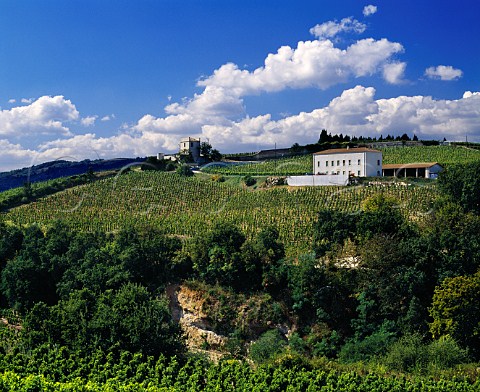 LHermite estate of JL Chave on the hill of   Hermitage TainlHermitage Drme France    Hermitage