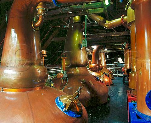 Copper pot stills and their condensers in the stillroom of Strathisla Distillery This is the oldestworking distillery in the Highlands most of itsproduction is now used for Chivas Regal Keith Moray Scotland      Speyside