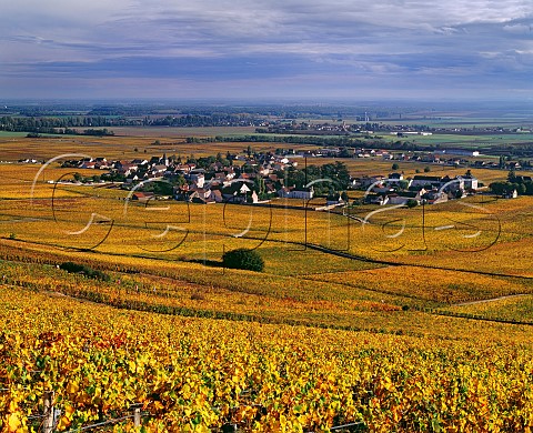 View eastwards over village of VosneRomane and its autumnal vineyards with the Sane Valley in distance CtedOr France  Cte de Nuits