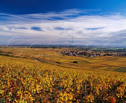View northeast over village and vineyards of VosneRomane with Vougeot and Clos de Vougeot on left Cte dOr France     Cte de Nuits