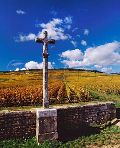 The cross at the foot of RomaneConti vineyard with   Richebourg to the right   VosneRomane Cte dOr France Cte de Nuits Grand Cru