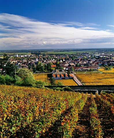 View eastwards over NuitsStGeorges with premises of Poulet Pere et Fils  Maison Louis Max in foreground  Cte dOr France   Cte de Nuits