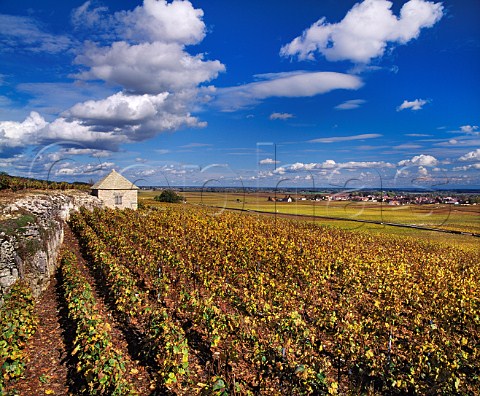 Cabotte in the Bouchard Pre et Fils section of Le Montrachet vineyard PulignyMontrachet   Cte dOr France    Cte de Beaune Grand Cru