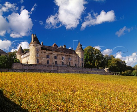 Autumnal vineyard of Antonin Rodet below Chteau de Rully Rully SaneetLoire France   Cte Chalonnaise