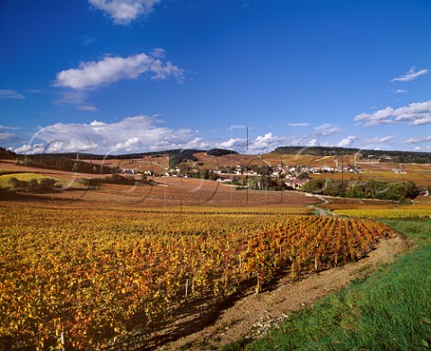Autumnal vineyards around village of Mercurey   SaneetLoire France   Cte Chalonnaise