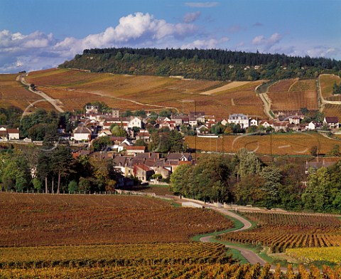 Autumnal vineyards surround village of Mercurey SaneetLoire France   Cte Chalonnaise