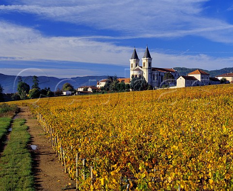 Autumnal Gamay vineyard by the village and church of   RgniDurette Rhne France  Rgni  Beaujolais