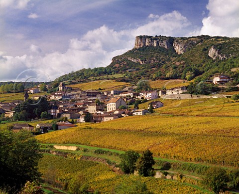 Autumnal Chardonnay vineyards surround the village  of SolutrPouilly below the rock of Solutr  SaneetLoire France   PouillyFuiss  Mconnais