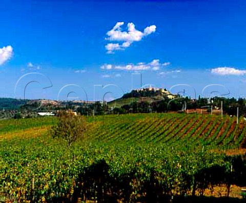 The Poggio Maestrino vineyard of Erik Banti with the   hilltop town of Montiano beyond   Grosetto Province Tuscany Italy   Southern Maremma