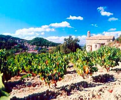 Vineyard of Chteau de StCosme by the 12thcentury chapel from which the property takes its name  Gigondas Vaucluse France
