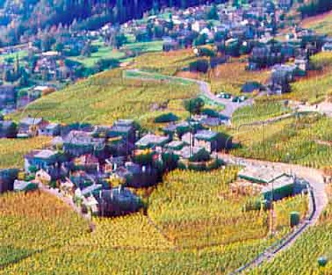 Autumnal vineyards surround traditional slateroofed   houses at Plan Cerisier   near Martigny Valais Switzerland