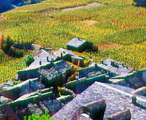 Autumnal vineyards surround traditional slateroofed   houses at Plan Cerisier   near Martigny Valais Switzerland