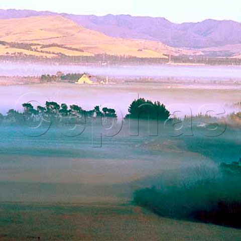 Canterbury House Winery and the Waipara Valley   swathed in earlymorning mist   North Canterbury New Zealand   Waipara