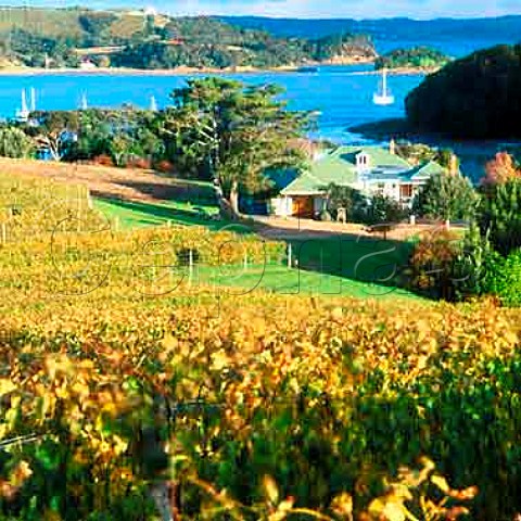 Goldwater Estate overlooking Putiki Bay   Waiheke Island New Zealand