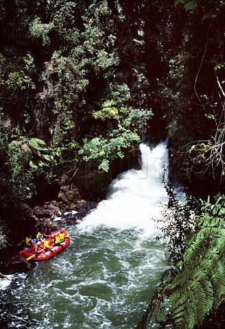 White water rafting at Okere Falls on the Kaituna   River North Island of New Zealand