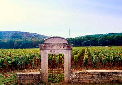 Old gateway in the wall of Latricires Chambertin   vineyard GevreyChambertin Cte dOr France Cte   de Nuits