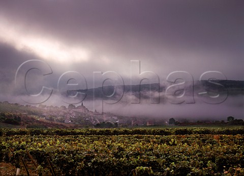 Village of Arcenant shrouded in morning mist   Cte dOr France  Hautes Ctes de Nuits