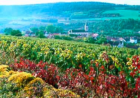 Arcenant viewed over vineyard   Cte dOr France     Hautes Ctes de Nuits
