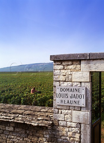 Gateway of Domaine Louis Jadot in the wall of the Clos de Vougeot Cte dOr France  Ctes de Nuits Grand Cru