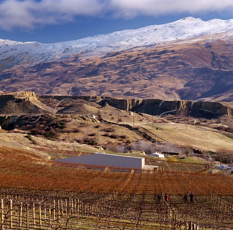 Templars Hill Vineyard and winery of Mount Difficulty Bannockburn Central Otago New Zealand