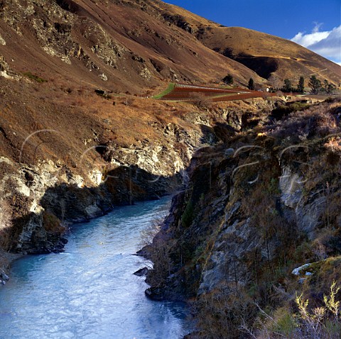 Chard Farm vineyard above the Kawarau River Gibbston Central Otago New Zealand