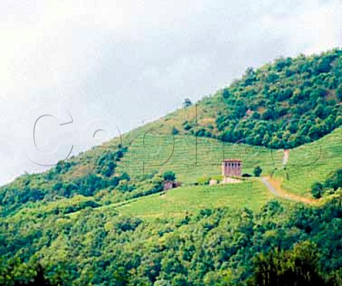 Tower among hillside vineyards at Ascarat   PyrnesAtlantiques France      Iroulguy