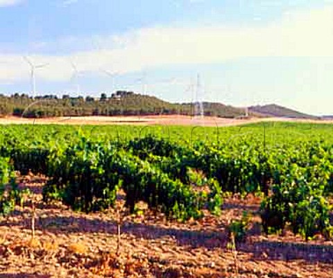 Wind turbines and vineyard near Tudela Navarra   Spain              Navarra