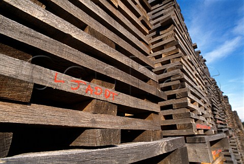 Seasoning of timber at the Cadus   cooperage  owned by Louis Jadot   LadoixSerrigny Cte dOr France