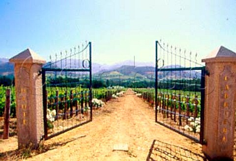 Entrance to vineyard of Haute Cabriere   Franschhoek South Africa    Paarl
