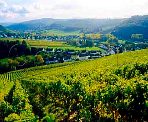 Karthuserhofberg vineyard above Eitelsbach with   Mertesdorf in the distance Ruwer Germany   Mosel